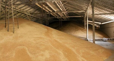 Kde a kolik obilí lze skladovat, metody pro průmyslové měřítko